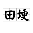 田埂 田埂