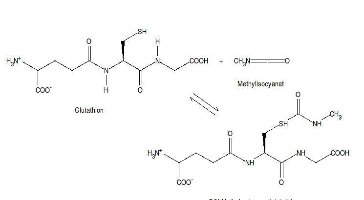 MIC(異氰酸甲酯(MethylIsocyanate))