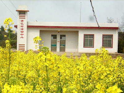 清江村(福建省莆田市荔城區黃石鎮清江村)