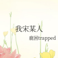 我宋某人 我宋某人