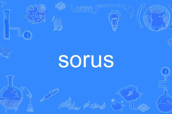 sorus sorus