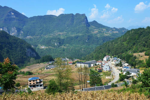 楊林溝村 楊林溝村
