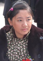 趙樹理(2006年李雪健、趙二湖等主演的電視劇)