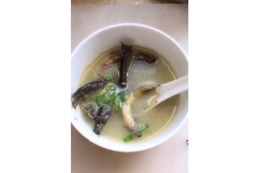 青荷鰍魚湯 青荷鰍魚湯