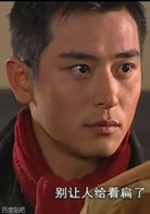 中華英雄(2004年何潤東主演電視劇)
