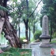 新唐戰役