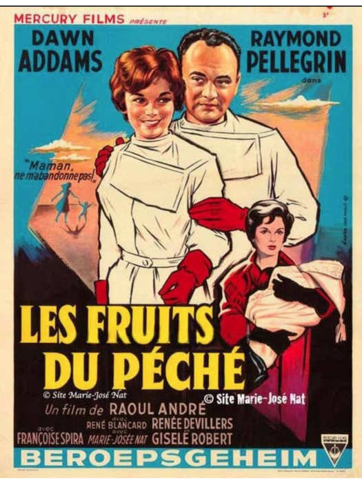 Secret professionnel Secret professionnel