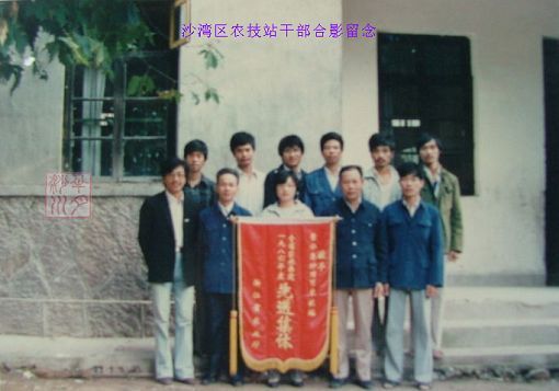 沙灣農技站 沙灣農技站