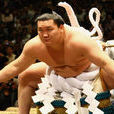 白鵬翔(日本相撲選手)
