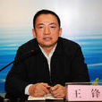 王鋒(陝西水利廳原黨組書記、廳長) 王鋒(陝西水利廳原黨組書記、廳長)