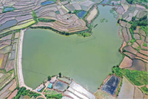 小陳鄉水庫 小陳鄉水庫
