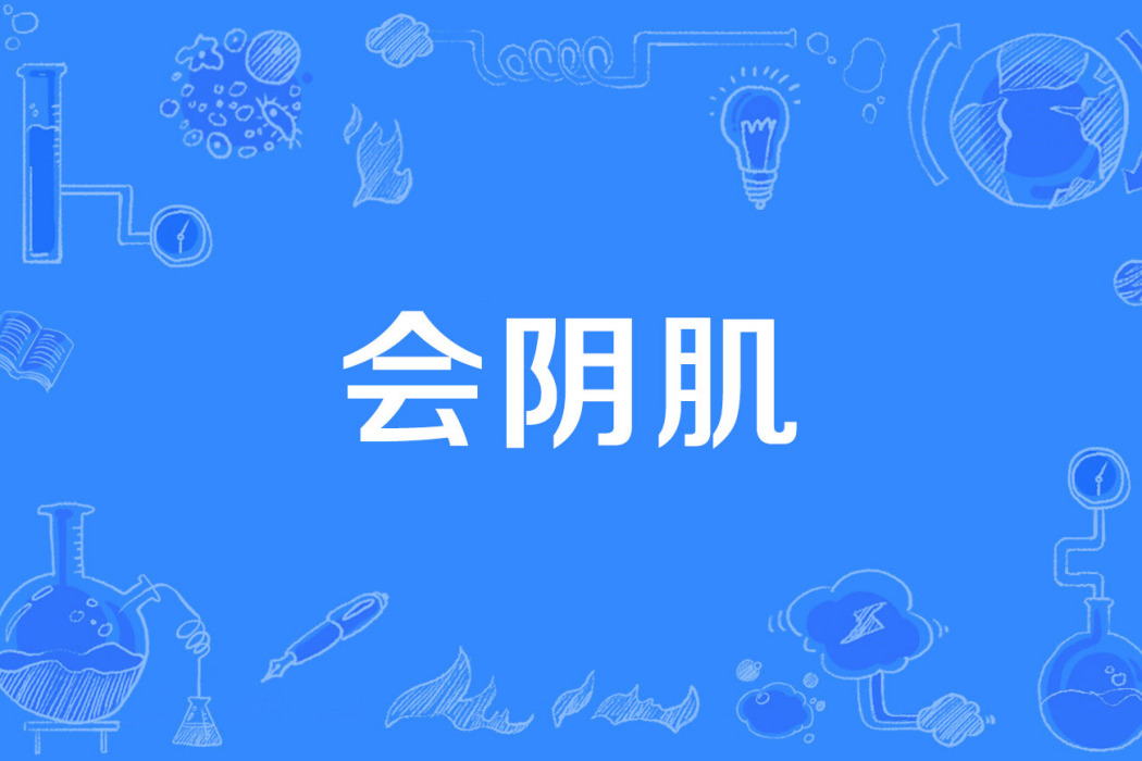 會陰肌 會陰肌