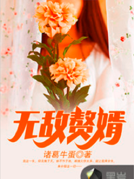 無敵贅婿(諸葛牛蛋創作的網路小說作品) 無敵贅婿(諸葛牛蛋創作的網路小說作品)