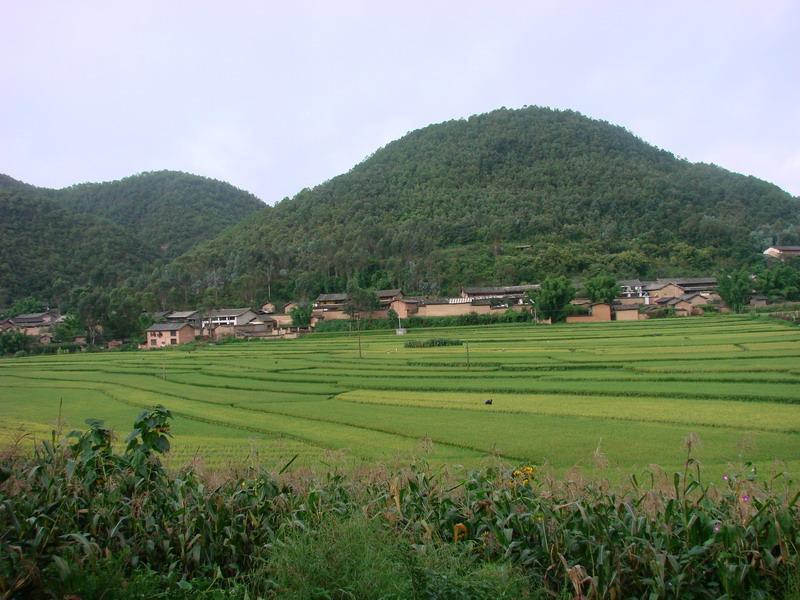 上十一村 上十一村