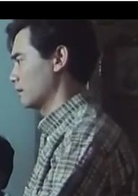 自梳(1997年張之亮執導電影)