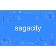sagacity