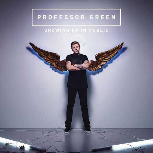 In the Shadow of the Sun(Professor Green演唱的單曲) In the Shadow of the Sun(Professor Green演唱的單曲)