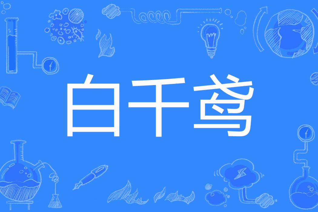 白千鳶