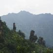石家檐風景區 石家檐風景區