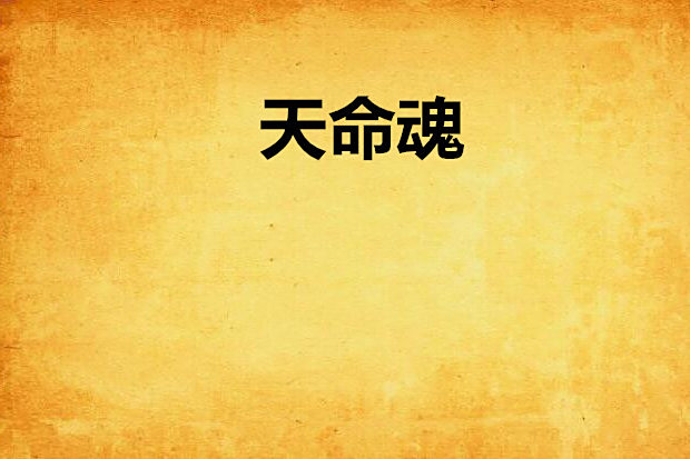 天命魂