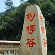 桫欏谷風景區(福建龍巖桫欏谷風景區) 桫欏谷風景區(福建龍巖桫欏谷風景區)
