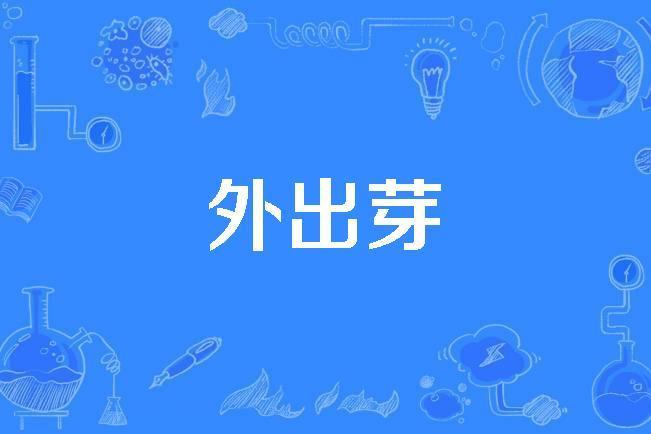 外出芽 外出芽