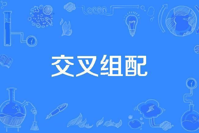 交叉組配 交叉組配