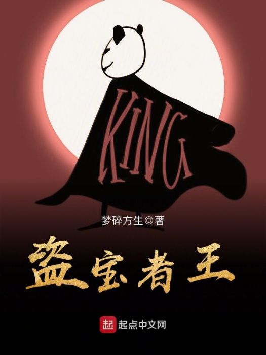 盜寶者王 盜寶者王