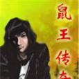 鼠王傳奇 鼠王傳奇