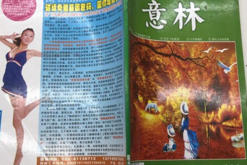 意林精華本(2013年花生文摘雜誌社出版的圖書) 意林精華本(2013年花生文摘雜誌社出版的圖書)