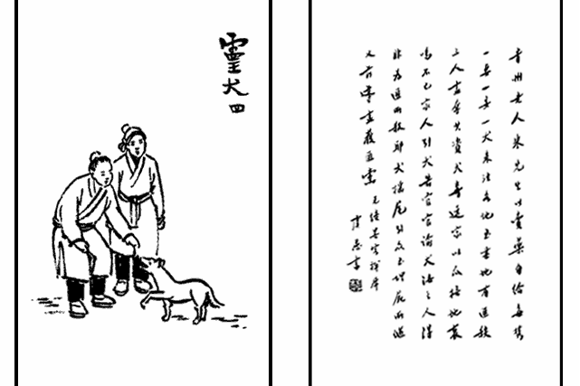 靈犬四 靈犬四