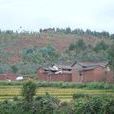 羅家莊村(雲南省大理州巍山縣廟街鎮下轄村) 羅家莊村(雲南省大理州巍山縣廟街鎮下轄村)