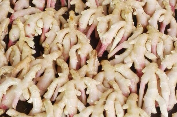 柳江大肉姜 柳江大肉姜