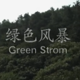 綠色風暴 綠色風暴