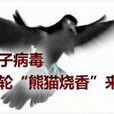 灰鴿子木馬 灰鴿子木馬