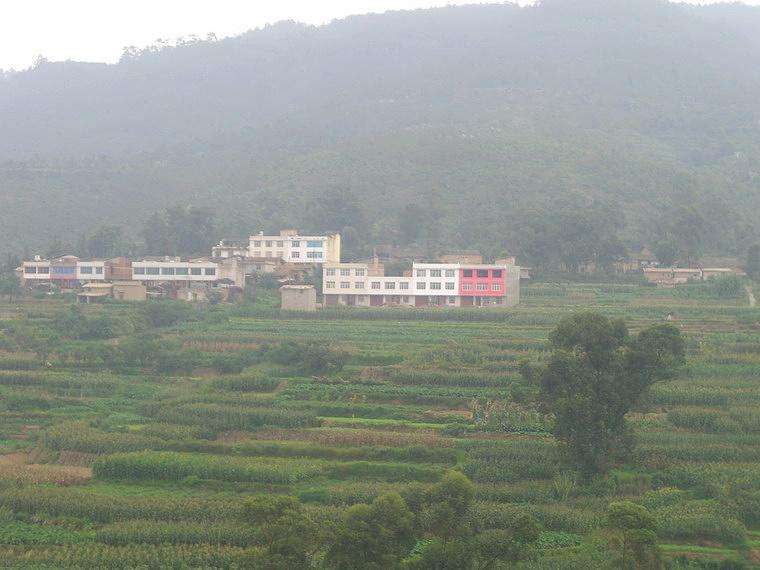 李棋村 李棋村