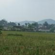 蠻棒村 蠻棒村