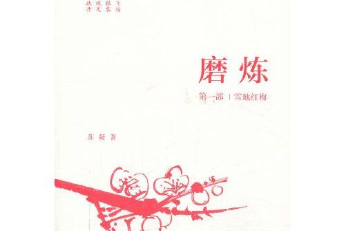 磨鍊(2013年中國青年出版社出版的圖書) 磨鍊(2013年中國青年出版社出版的圖書)
