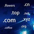 域名(domain name)