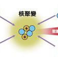 聚變燃料 聚變燃料