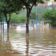 暴雨(自然天氣) 暴雨(自然天氣)