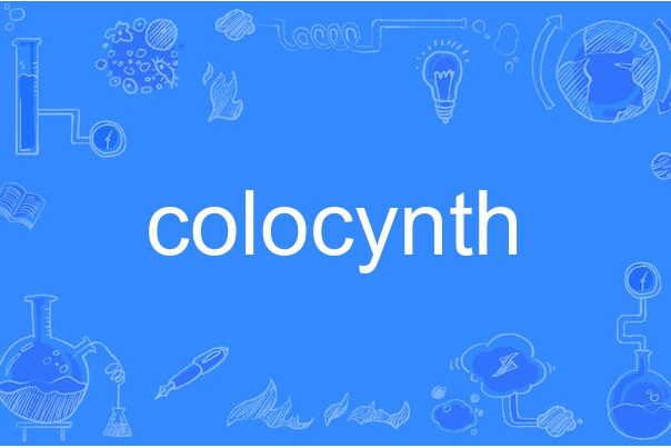 colocynth colocynth