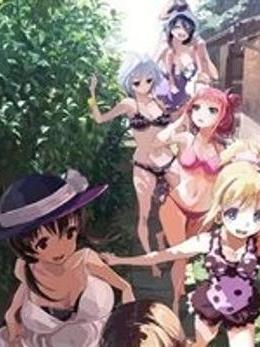 小夏人 小夏人