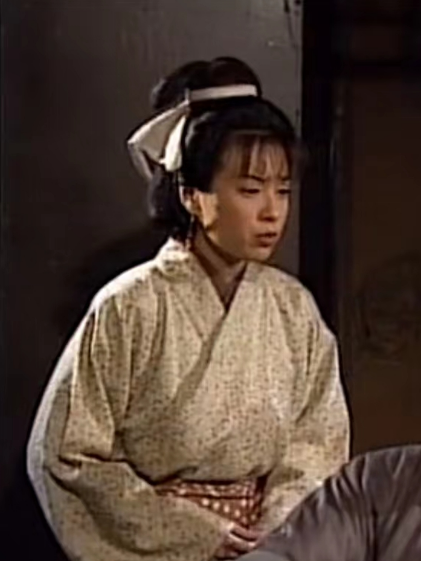 花雕(古裝愛情喜劇《醉打金枝》中的角色) 花雕(古裝愛情喜劇《醉打金枝》中的角色)