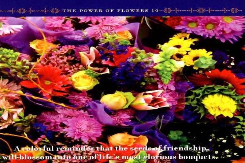 Excerpt(David And The High Spirit演奏的純音樂作品) Excerpt(David And The High Spirit演奏的純音樂作品)