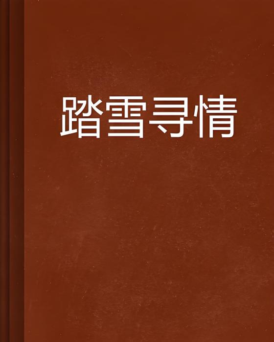 踏雪尋情 踏雪尋情