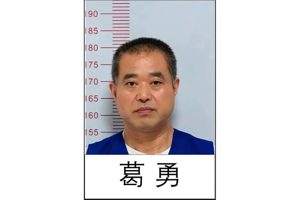 葛勇(犯罪嫌疑人) 葛勇(犯罪嫌疑人)