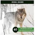 Wolves Coloring Book for Adults Relaxation: Sketches Coloring Book 40 Drawing Images + 40 Bonus Line Patterns Wolves Coloring Book for Adults Relaxation: Sketches Coloring Book 40 Drawing Images + 40 Bonus Line Patterns
