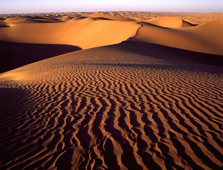沙漠土壤