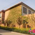李灣村(河南舞陽縣姜店鄉下轄村) 李灣村(河南舞陽縣姜店鄉下轄村)